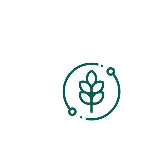 From Farm to Table